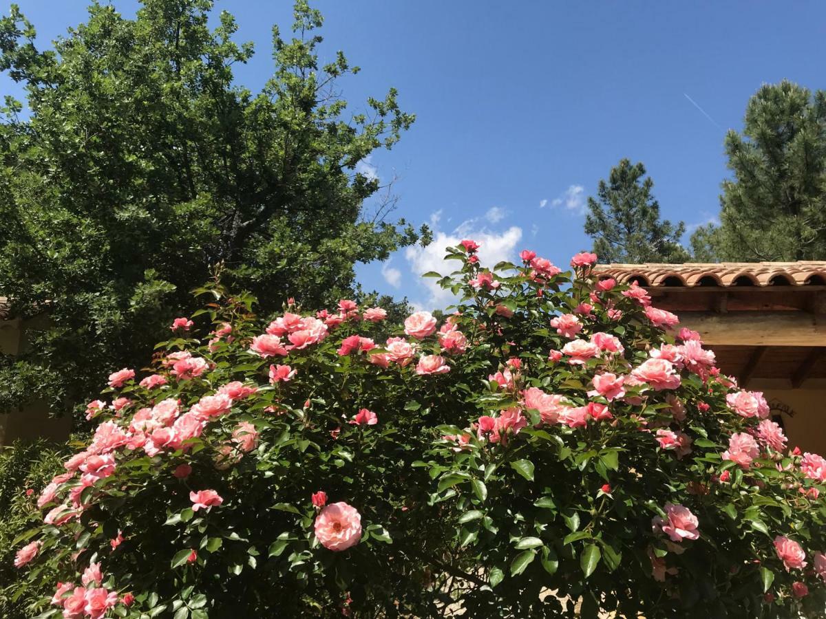 Le Clos Des Cigales Roussillon  Bagian luar foto